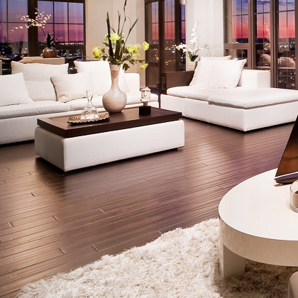 Interiors